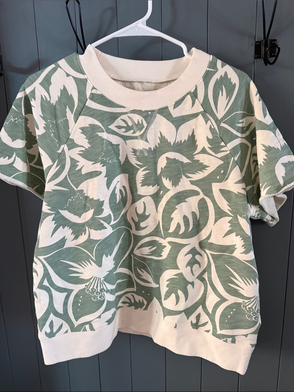 Women’s Madewell Floral Print Short Sleeve Sweatshirt - Green & Cream